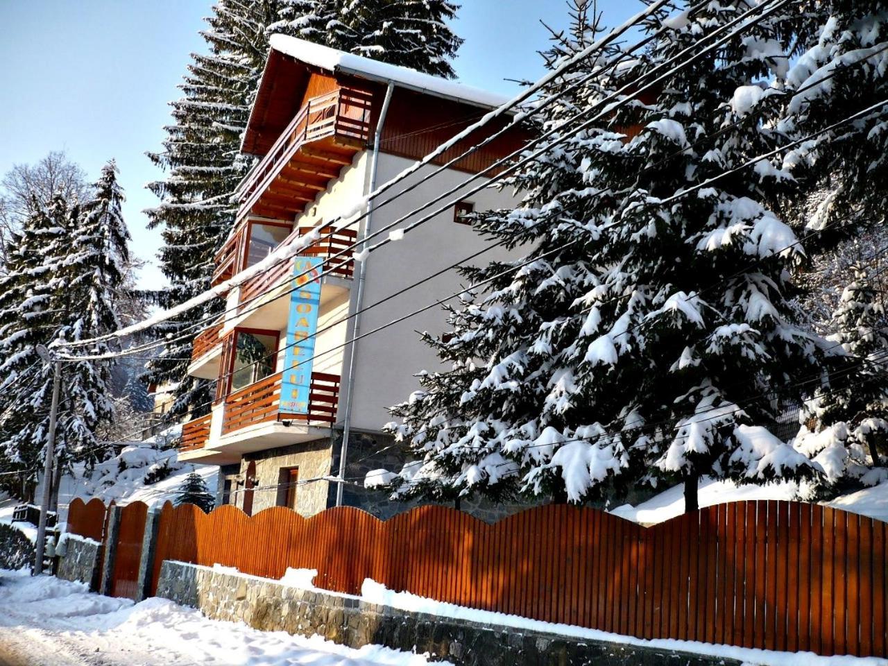 Pension Casa Soarelui Sinaia Luaran gambar