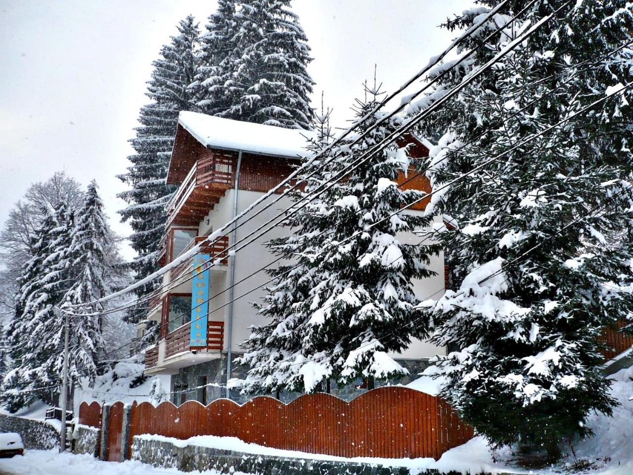 Pension Casa Soarelui Sinaia Luaran gambar